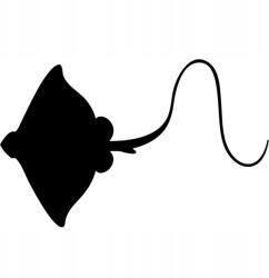  Autós matrica rája3e 15cm x 9cm