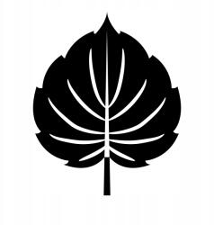 Autós matrica tölgyfa levél 3d 12cm x 15cm