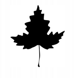 Autós matrica tölgyfa levél