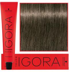Schwarzkopf Igora Royal 60ml, tartós hajfesték, 6-1 (FARB/SCH/IGORA/6-1/60ML/)