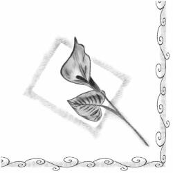 Mank Textilhatású szalvéta 40x40 cm 50 lap/csomag - Emlékezés