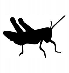 Autós matrica szöcske