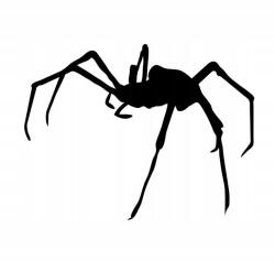  Autós matrica pók Ausztrália