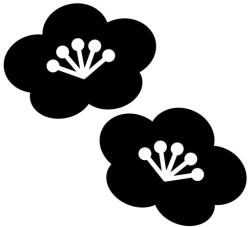  Autós matrica két virággal