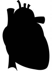  Autós matrica emberi szív 10cm x 15cm