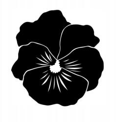  Autós matrica virág grafika mandalák