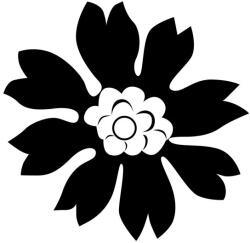  Autós matrica virág és gyümölcs