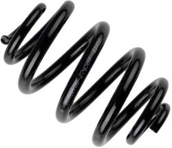 BILSTEIN Pružina podvozku BILSTEIN 38-274589 (38-274589)