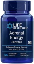 Life Extension Adrenal Energy Formula, 120 веге капсули, Life Extension