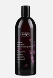 Ziaja Family Shampoo sampon zsíros hajra 500ml