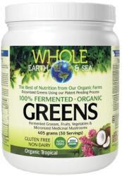 Natural Factors Whole Earth & Sea Fermented Organic Greens, тропически плодове, 405 g, Natural Factors