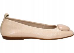 Wonders A-86120 40 Fei Lack V Palo (A-86120)