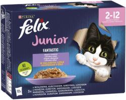 Purina Nedves Macskaeledel Felix Marhahús Csirke Lazac Szardínia 12 X 85G Junior