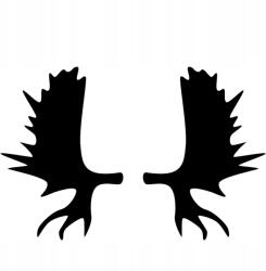  Autós matrica jávorszarvas agancs 2d 15cm x 9cm