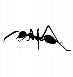  Autós matrica hangya