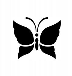 Autós matrica pillangó grafika