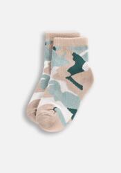 Coccodrillo Fiú színes zokni gyerekeknek 036/039 Coccodrillo WC5 (5904986538142)