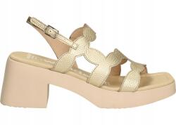 Wonders D-1020 36 Hura Max Platino (D-1020)