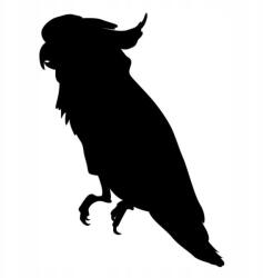  Autós matrica egoista papagáj