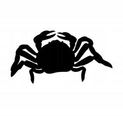  Autós matrica rák remete