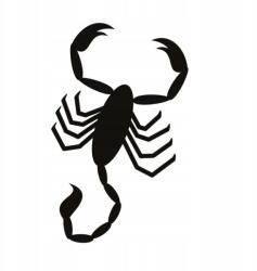  Skorpió autó matrica