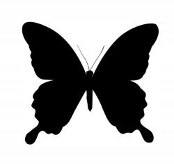  Autós matrica gyönyörű pillangó