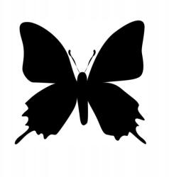  Autós matrica pillangó lepke