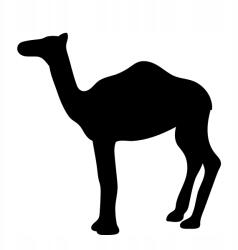  Autós matrica teve 4f 15cm x 14cm