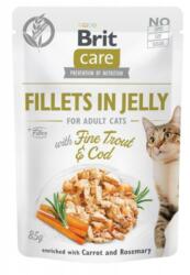 Brit Care Nedves macskaeledel pisztráng és tőkehal 85g