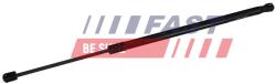 FAST Amortizor portbagaj FAST FT04427 (FT04427)
