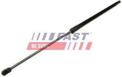 FAST Amortizor portbagaj FAST FT94804 (FT94804)