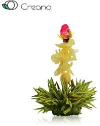 Creano eper ízű virágzó zöld teagolyó