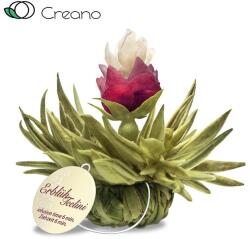 Creano Őszibarack gyöngy csésze méretű virágzó fehér teagolyó