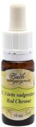 BachVirágeszencia Bach virágterápia, 10 ml - Vörösvirágú vadgesztenye, az önállósodás virága - 25-ös