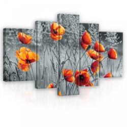 Consalnet Vászonkép, 5 darabos, Pipacsok 170x100 cm méretben (C5-11746S4A)