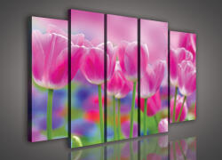 Consalnet Vászonkép, 5 darabos Tulipánok 150x100 cm méretben (C5-898S12)