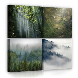 Consalnet Vászonkép 4 darabos, Erdő 50x50 cm méretben (C5-12278S20)