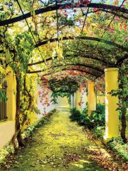 Consalnet Kertben poszter, fotótapéta, Vlies (184x254 cm, álló) (C1-136V4A)