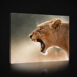 Consalnet Oroszlán, vászonkép, 60x40 cm méretben (C5-2597O4)
