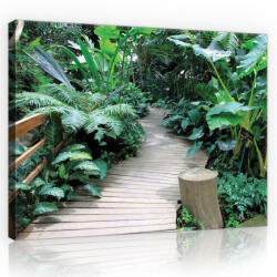 Consalnet Vászonkép, Palló a növények közt, 100x75 cm méretben (C5-11356O1)