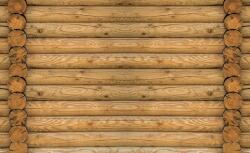 Consalnet Fatörzsek poszter, fotótapéta, Vlies (368 x 254 cm) (C1-2216V8)