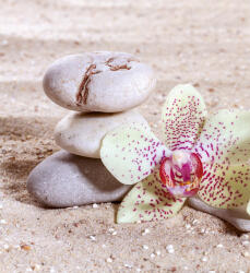 Dimex ZEN BALANCE fotótapéta, poszter, vlies alapanyag, 225x250 cm (MS-3-0118)