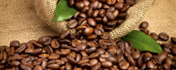 Dimex COFFEE BEANS fotótapéta, poszter, vlies alapanyag, 375x150 cm (MP-2-0244)