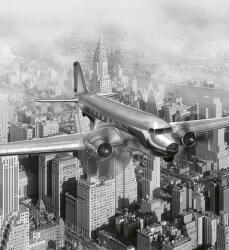 Dimex AIRPLANE fotótapéta, poszter, vlies alapanyag, 225x250 cm (MS-3-0006)