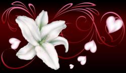 Consalnet Virág minta poszter, fotótapéta, Vlies (416 x 254 cm) (C1-298VEXXXL)