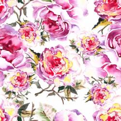 Consalnet Rózsák poszter, fotótapéta Vlies (312 x 219 cm) (C1-185VEXXL)