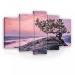 Consalnet Vászonkép 5 darabos, Fa a hegytetőn 100x60 cm méretben (C5-11749S17)
