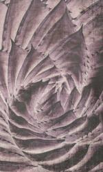 Dimex Kaktusz absztrakt fotótapéta, poszter, vlies alapanyag, 150x250 cm (MS-2-0352)
