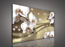 Consalnet Vászonkép, Orchidea barna háttéren, 60x40 cm méretben (C5-1652O4)