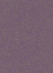 Erismann Lila szemcsés beton mintás tapéta (Fashion for Walls 10377-45) (10377-45)